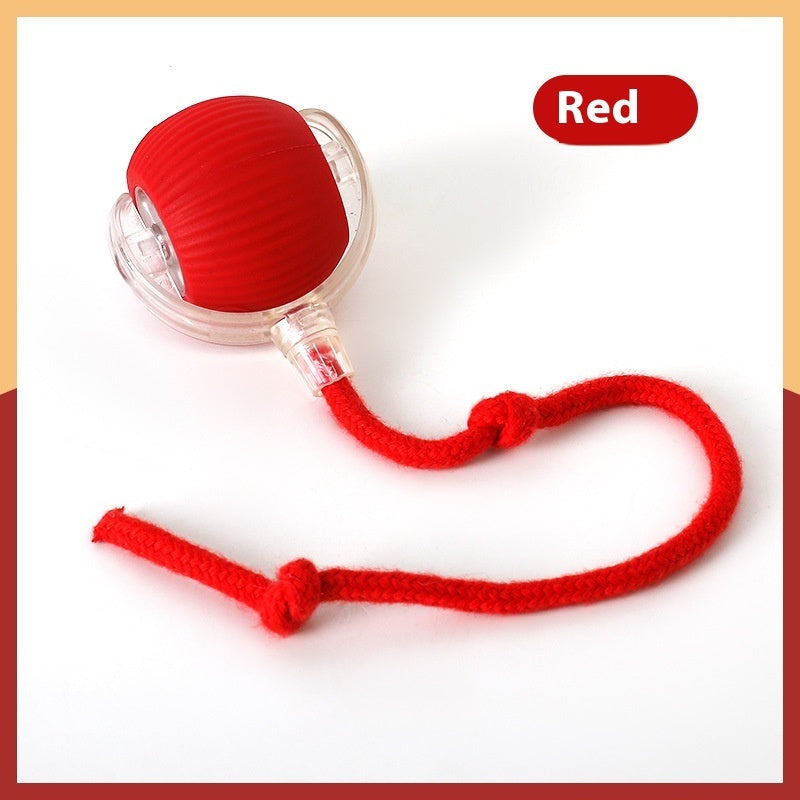 Interactive Cat Toy Ball! Rolling Balls With Bird Chirping Motion! Activated Sensor, Kitten Teaser Game Toys at Paws On Mission.