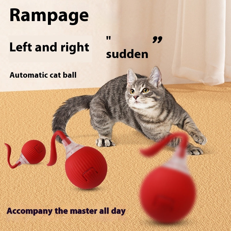 Interactive Cat Toy Ball! Rolling Balls With Bird Chirping Motion! Activated Sensor, Kitten Teaser Game Toys at Paws On Mission.