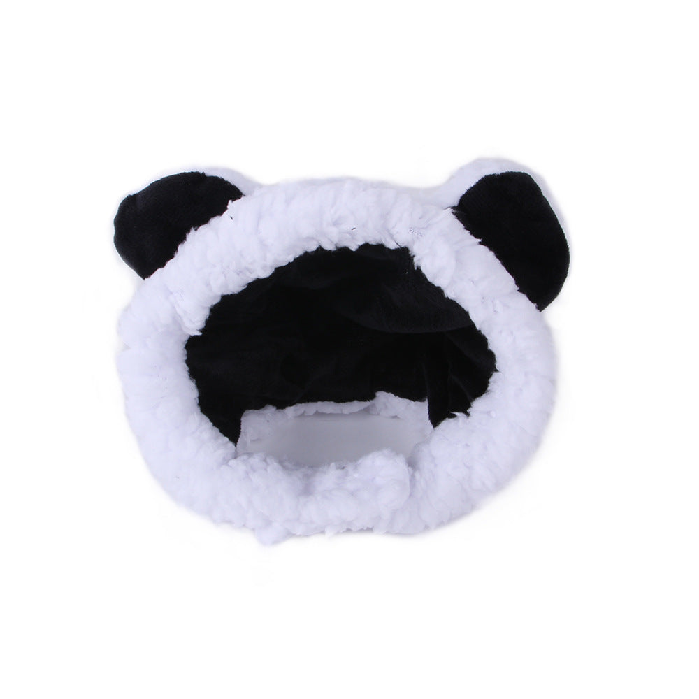cute cat hat