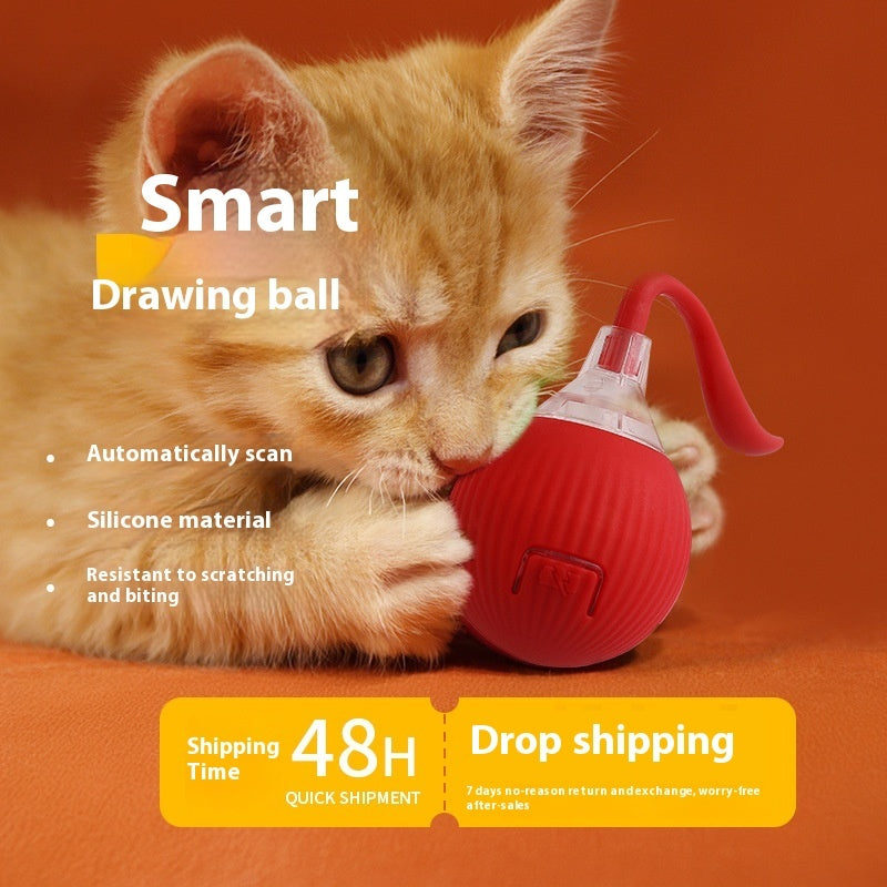 Interactive Cat Toy Ball! Rolling Balls With Bird Chirping Motion! Activated Sensor, Kitten Teaser Game Toys at Paws On Mission.