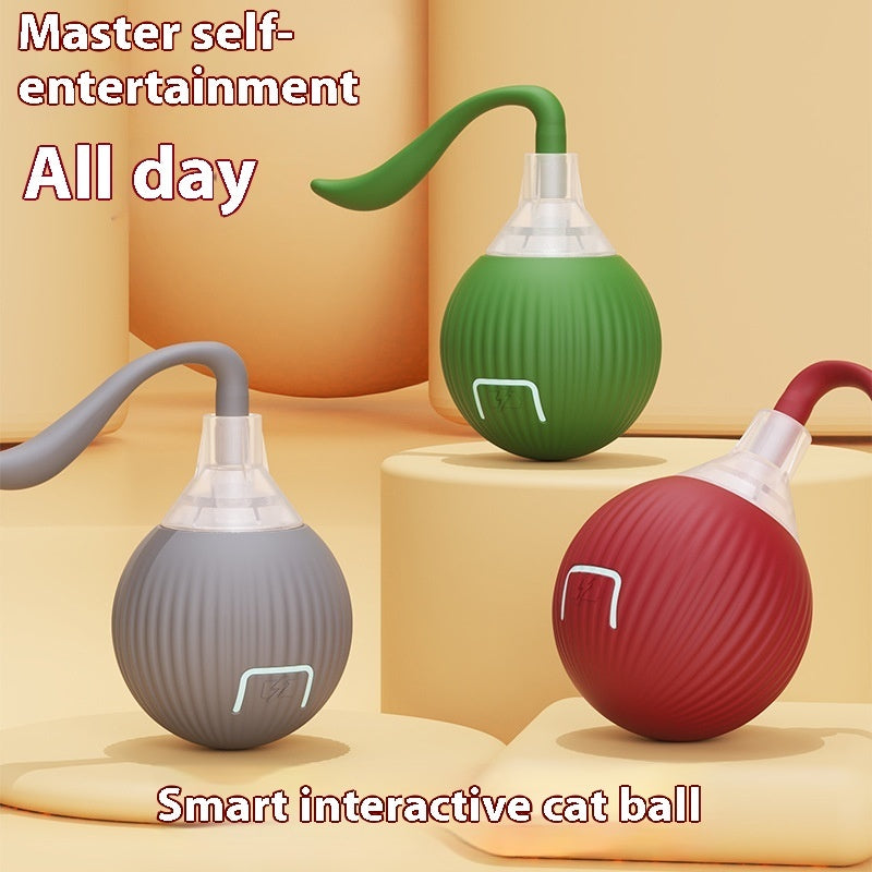 Interactive Cat Toy Ball! Rolling Balls With Bird Chirping Motion! Activated Sensor, Kitten Teaser Game Toys at Paws On Mission.