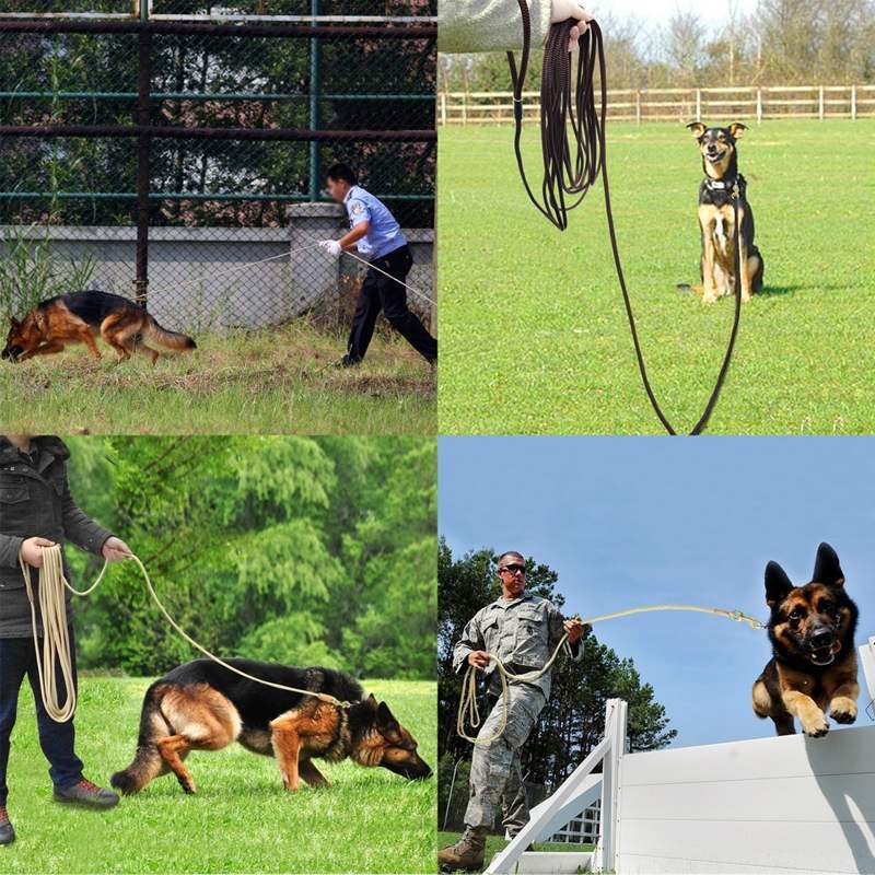 Dog training belt