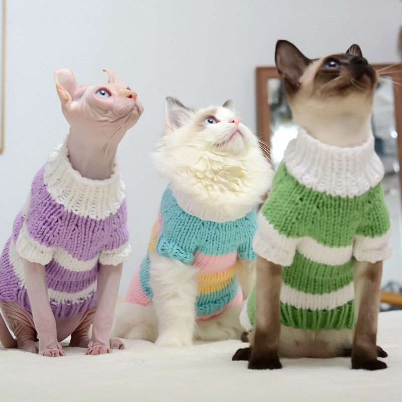 Cat warm sweater